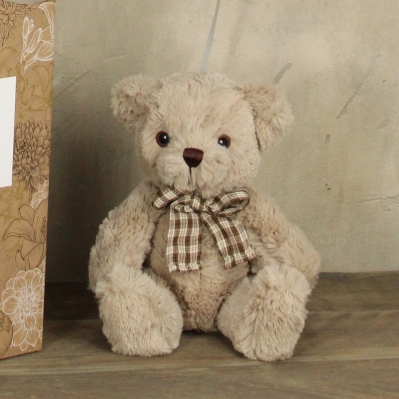 The 'James Junior' Bear