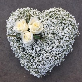 The 'Gypsophlia' Heart